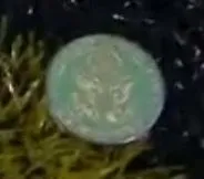 Making Heads and Tails of the Jets - Patriots OT Coin Toss