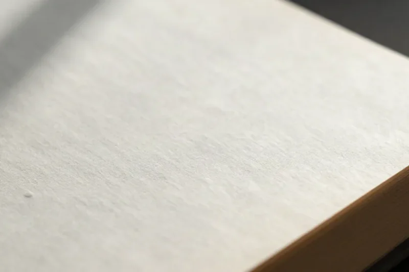 Página de un libro impreso vista a contraluz